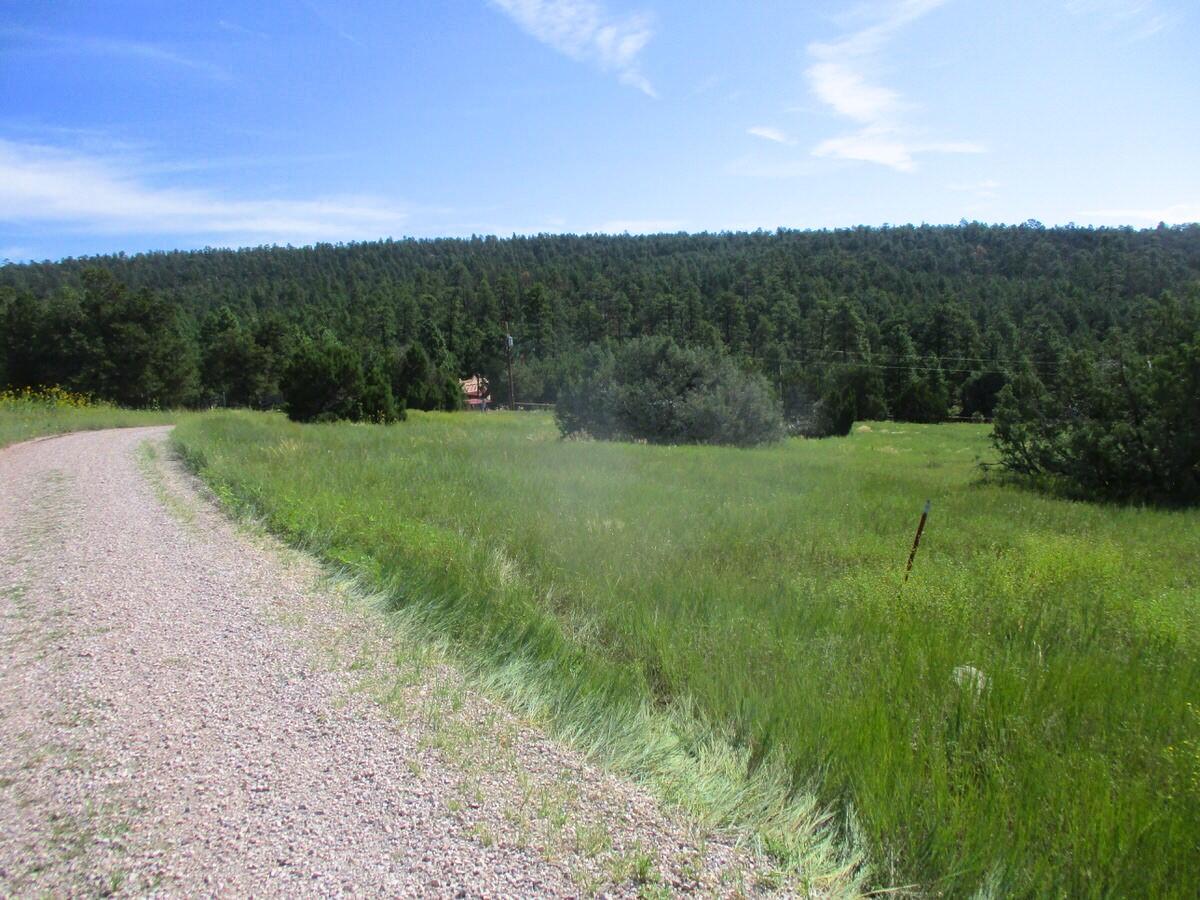 5-6 Black Bear Road Ramah, NM 87321 - Photo 29 of 64 Gallery Image 29