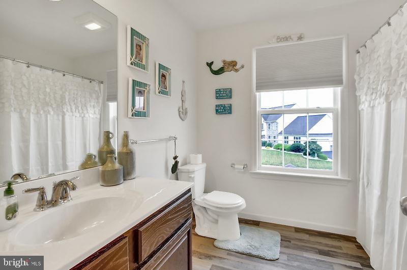 2284 Friesian Road York, PA 17406 - Photo 19 of 22 Gallery Image 19
