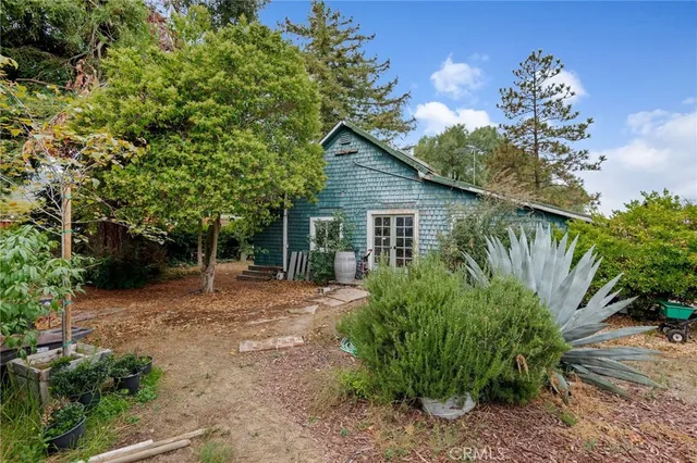 a backyard of a house with plants and large tree