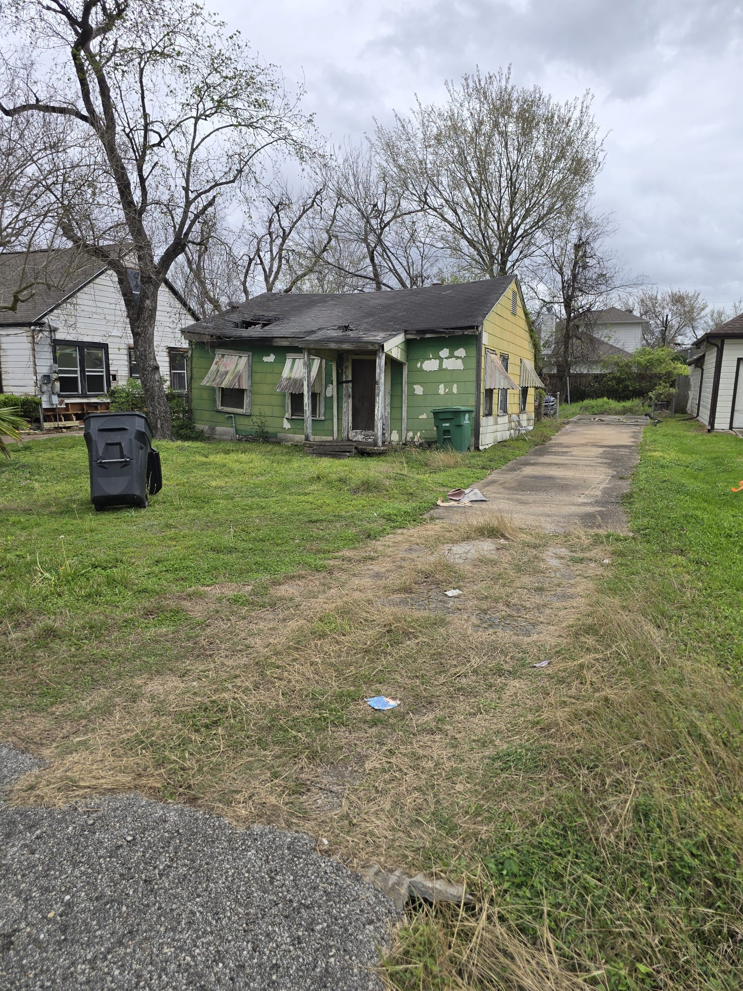 a view of a yard in front of house