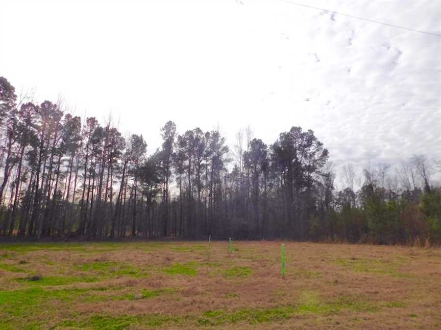 0 Coast Line Road Salters, SC 29590 - Photo 29 of 37
