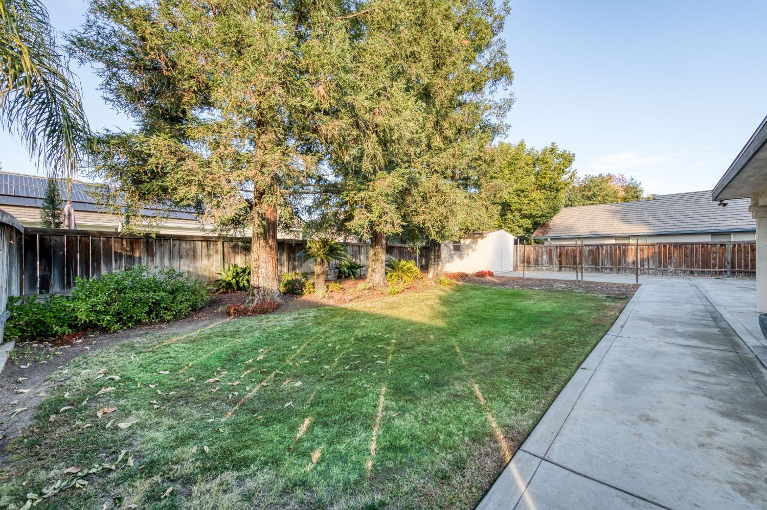 2365 Fallbrook Avenue Clovis, CA 93611 - Photo 32 of 42 a view of a white house next to a yard with plants and trees