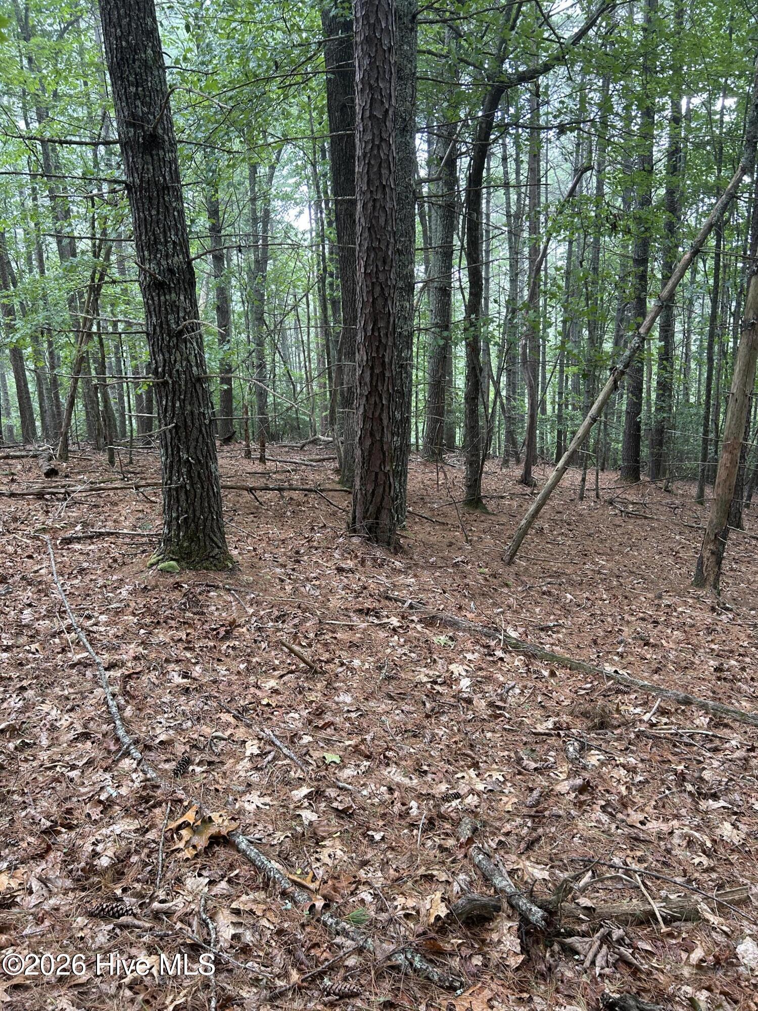 367 Chastain Road Murphy, NC 28906 - Photo 10 of 12