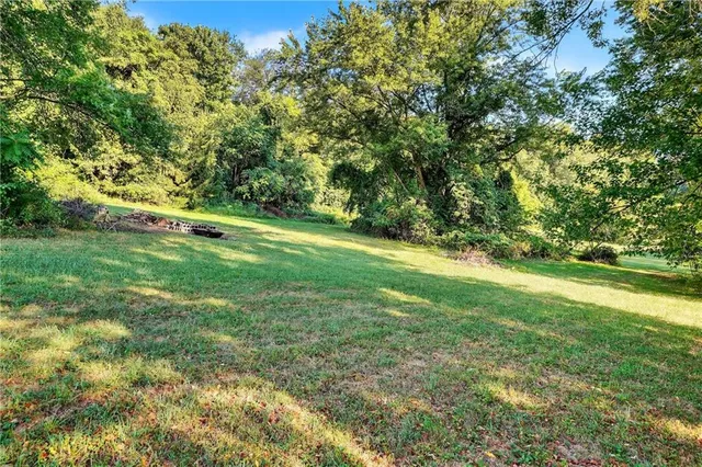 a view of a field with a tree