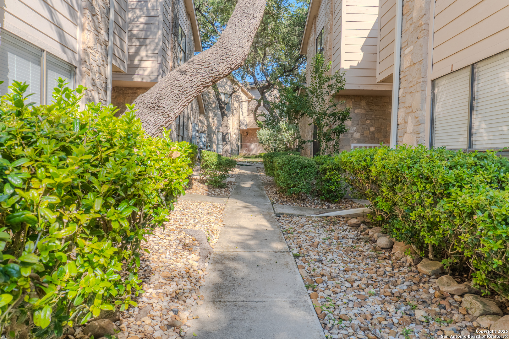 829 West Bitters Road, Unit 503 San Antonio, TX 78216 - Photo 2 of 22