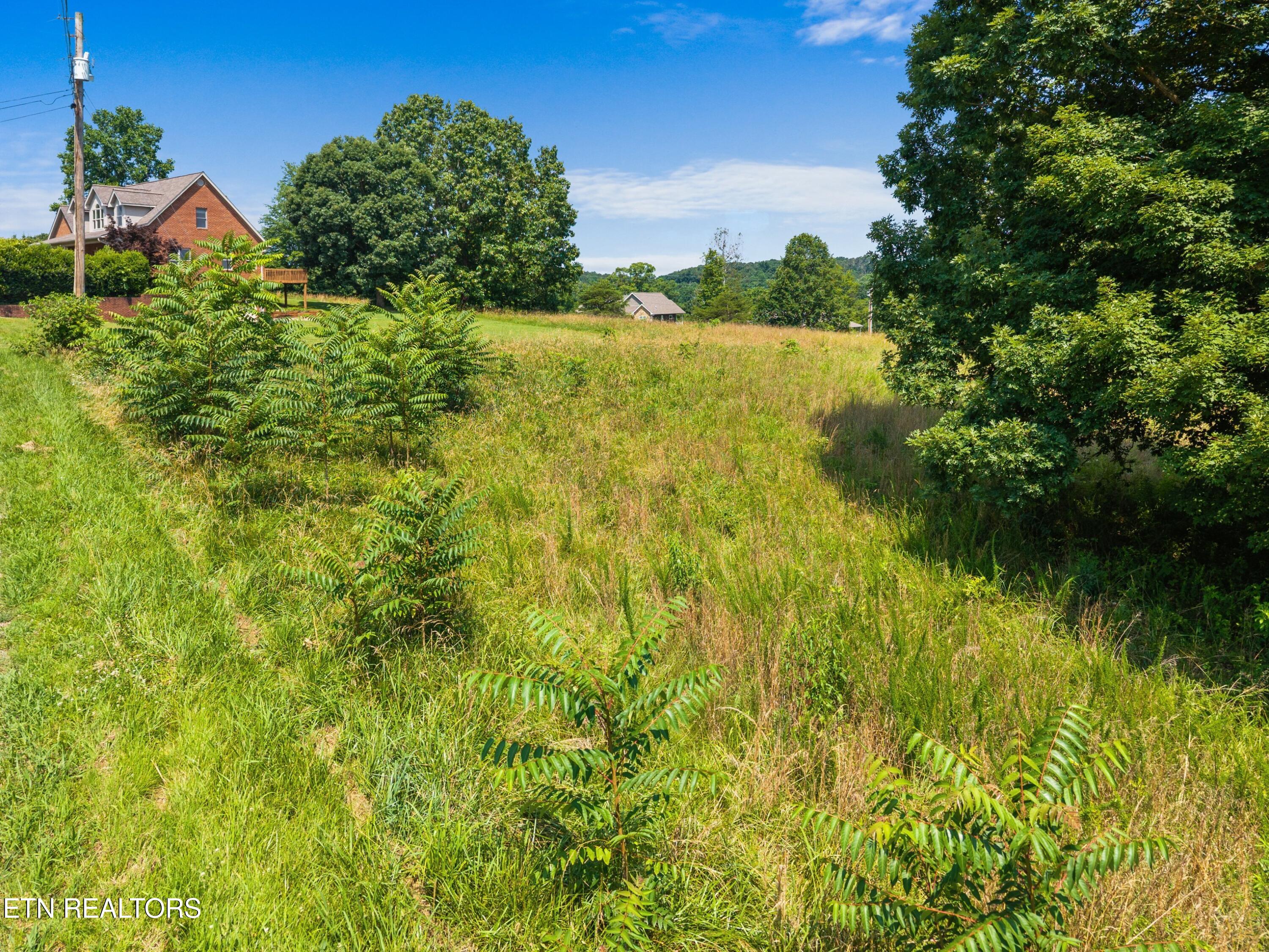 Pheasant View Rutledge, TN 37861 - Photo 3 of 10 008-440PheasantView-Rutledge-TN-37861-SM