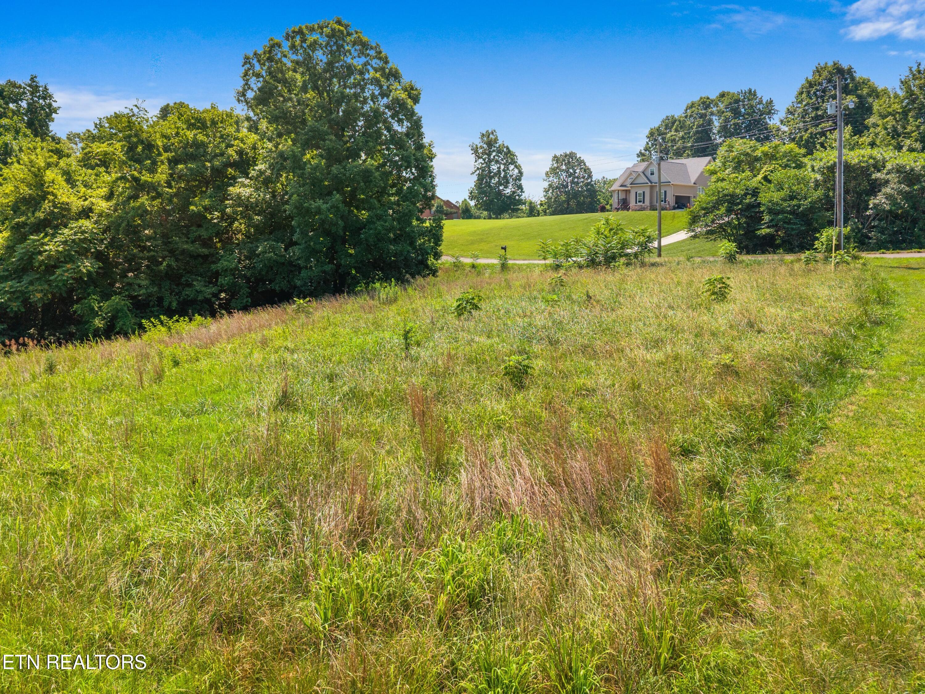 Pheasant View Rutledge, TN 37861 - Photo 4 of 10 010-440PheasantView-Rutledge-TN-37861-SM