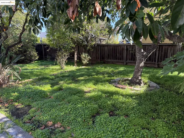 a backyard of a house with lots of green space