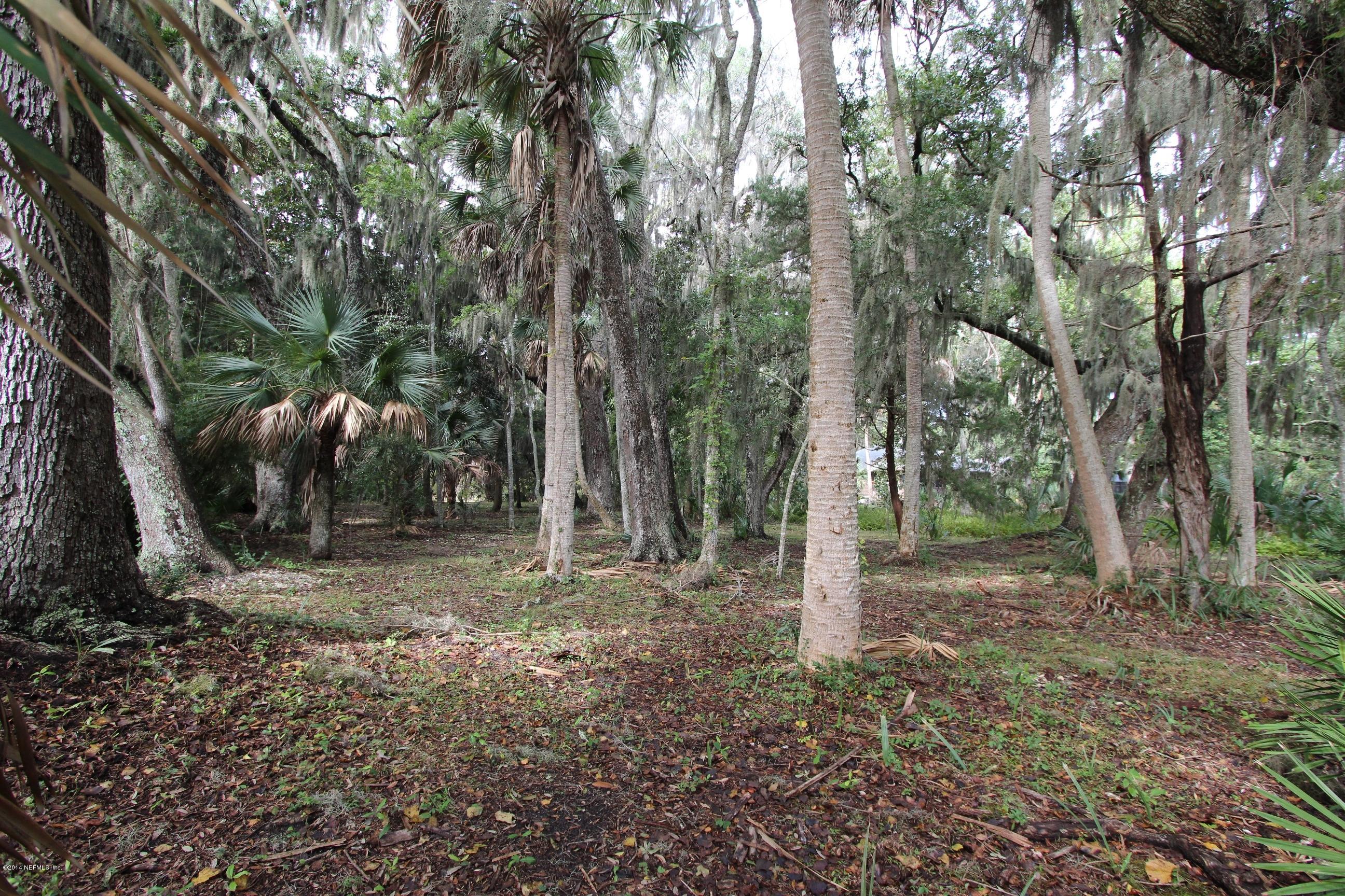 13795 Sawpit Road Jacksonville, FL 32226 - Photo 54 of 69 a backyard of a house with lots of green space