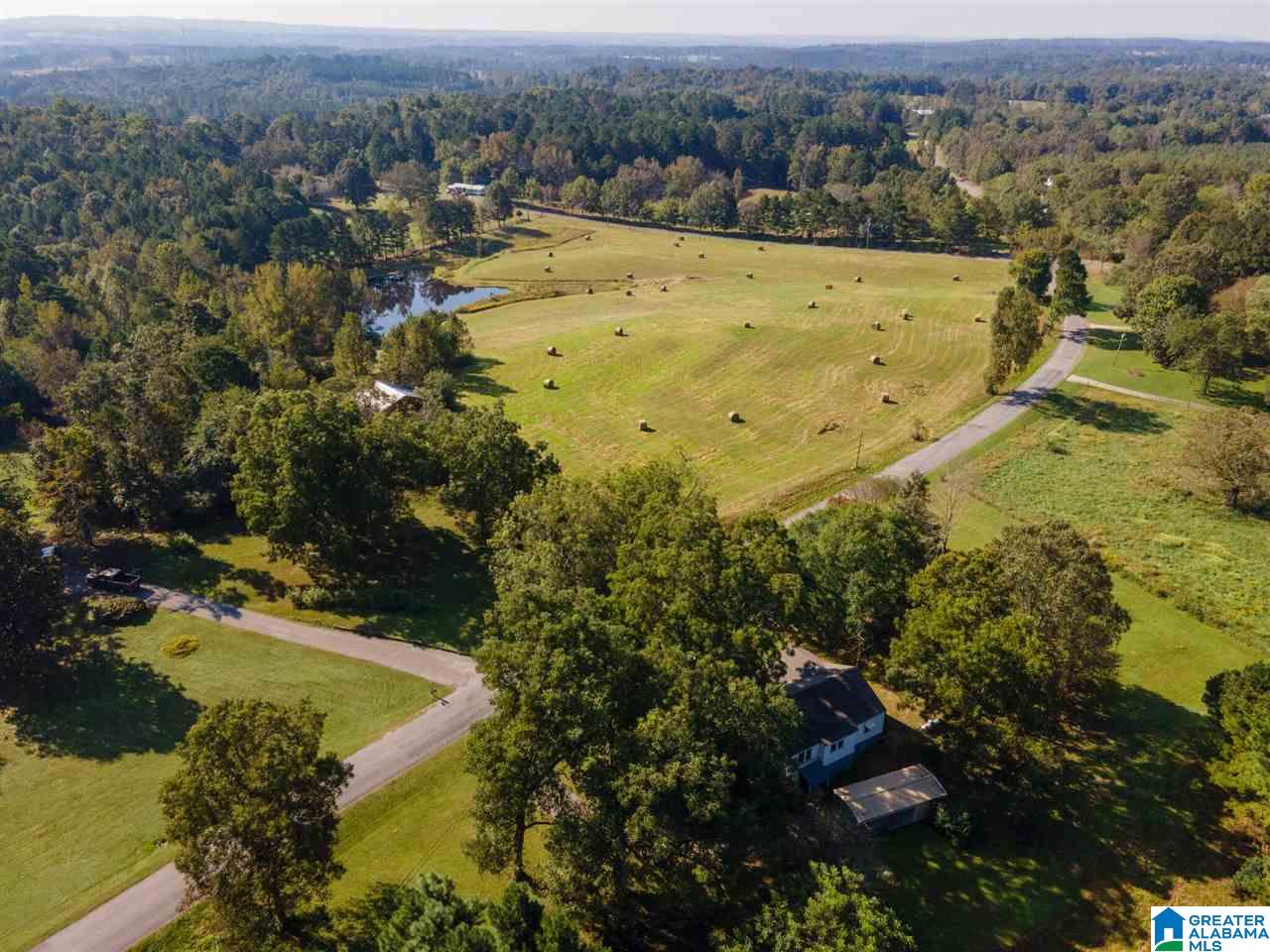 1697 Robin Hill Road Oneonta, AL 35121 - Photo 48 of 50