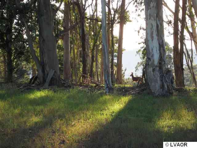 1799 Tularosa Road Lompoc, CA 93436 - Photo 13 of 15 Additional Photo