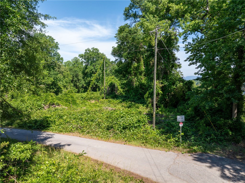 0 Ben Hurt Road Lyman, SC 29365 - Photo 9 of 21 A secluded lot awaits, enveloped by mature trees, offering a tranquil natural setting.