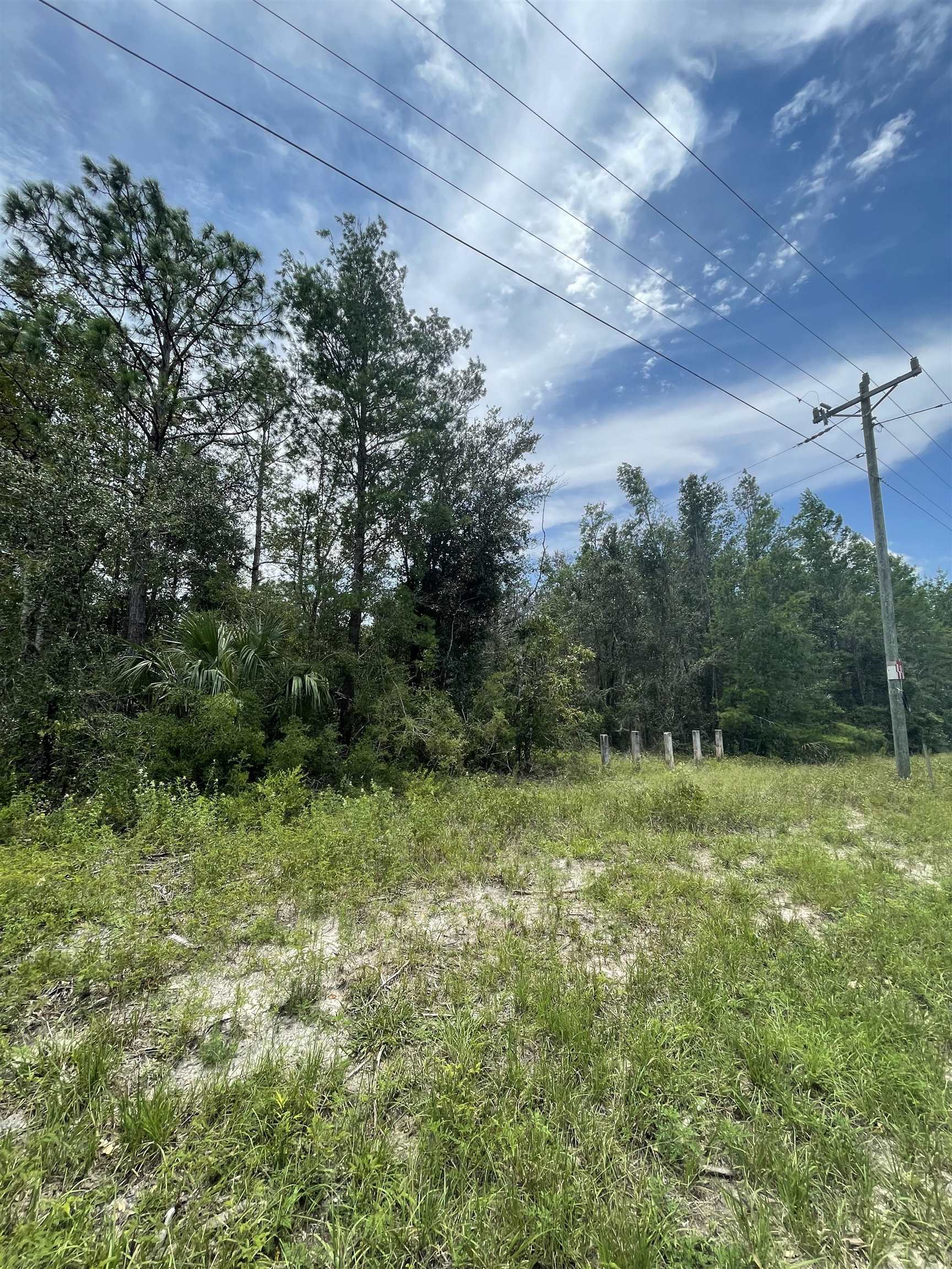 0 Hampton Springs Road Perry, FL 32348 - Photo 2 of 6 Gallery Image 2
