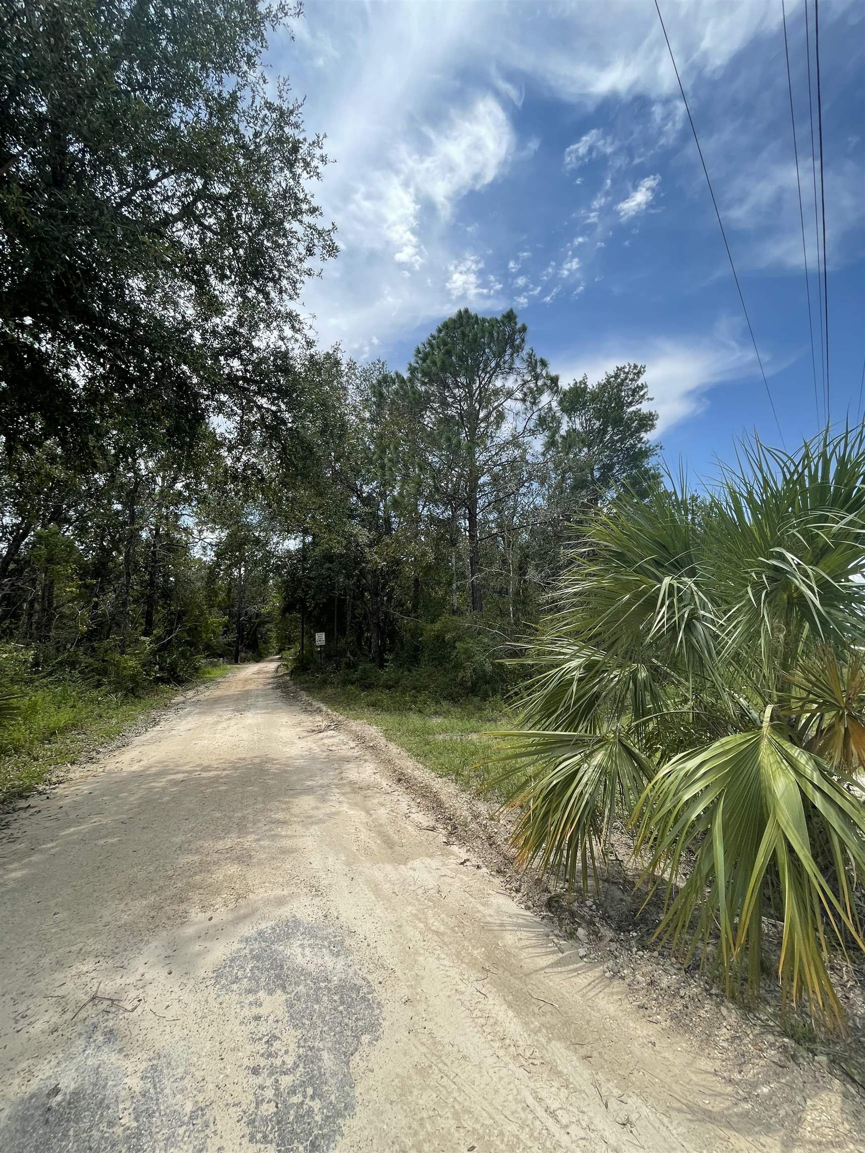 0 Hampton Springs Road Perry, FL 32348 - Photo 3 of 6 Gallery Image 3
