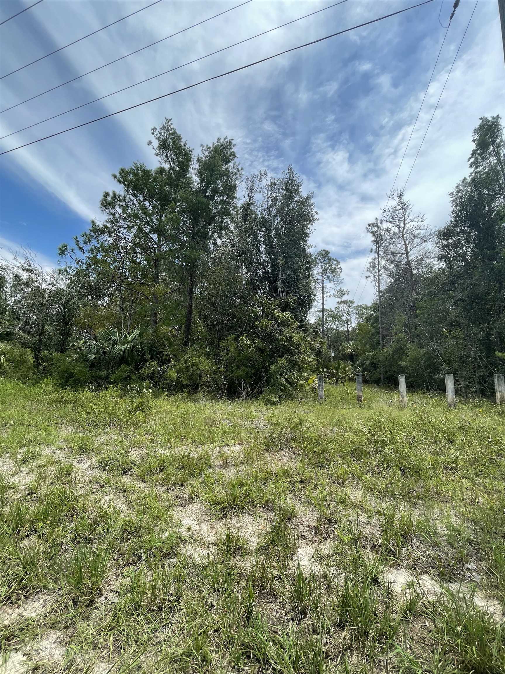 0 Hampton Springs Road Perry, FL 32348 - Photo 5 of 6 Gallery Image 5
