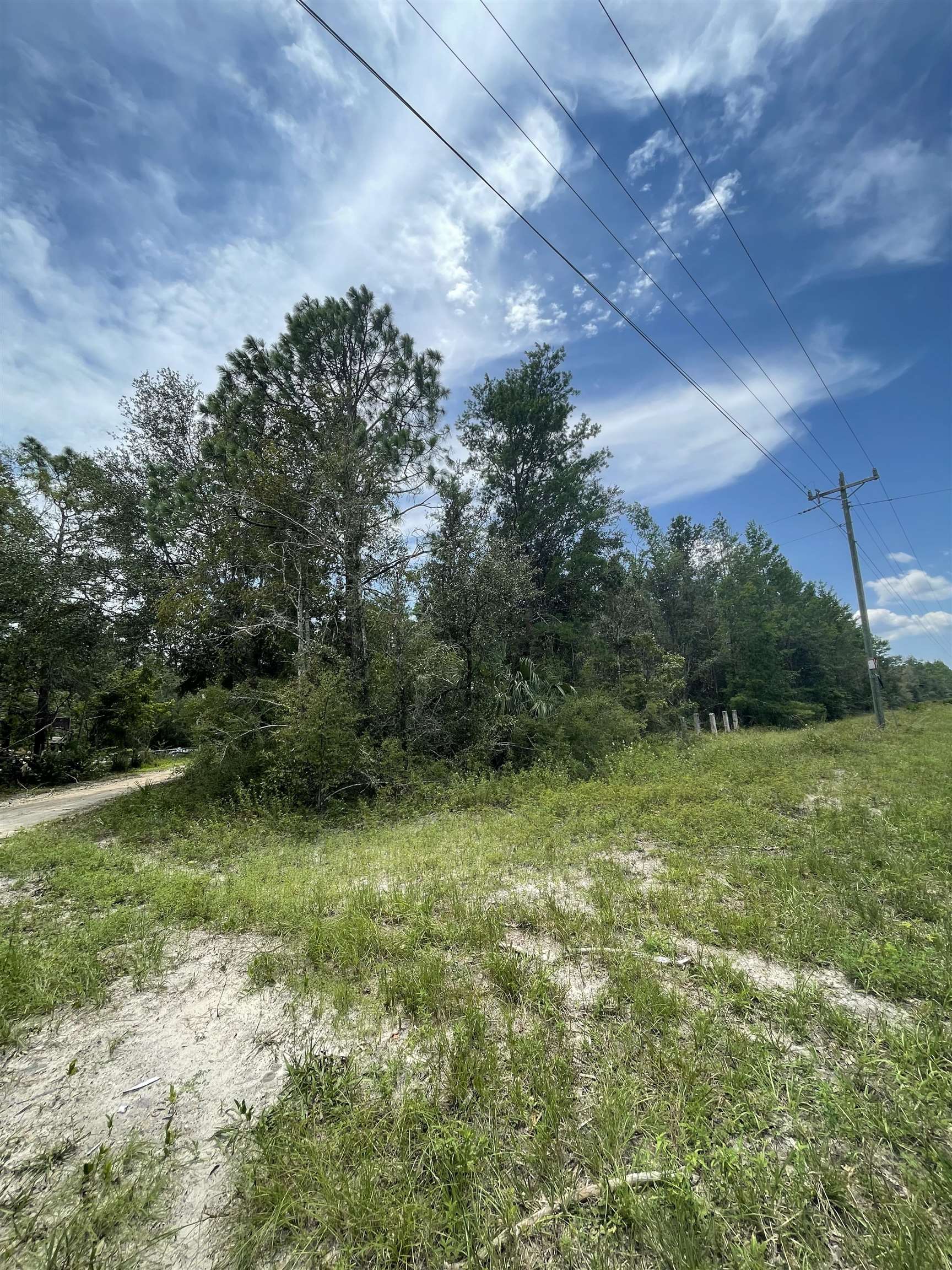 0 Hampton Springs Road Perry, FL 32348 - Photo 6 of 6 Gallery Image 6