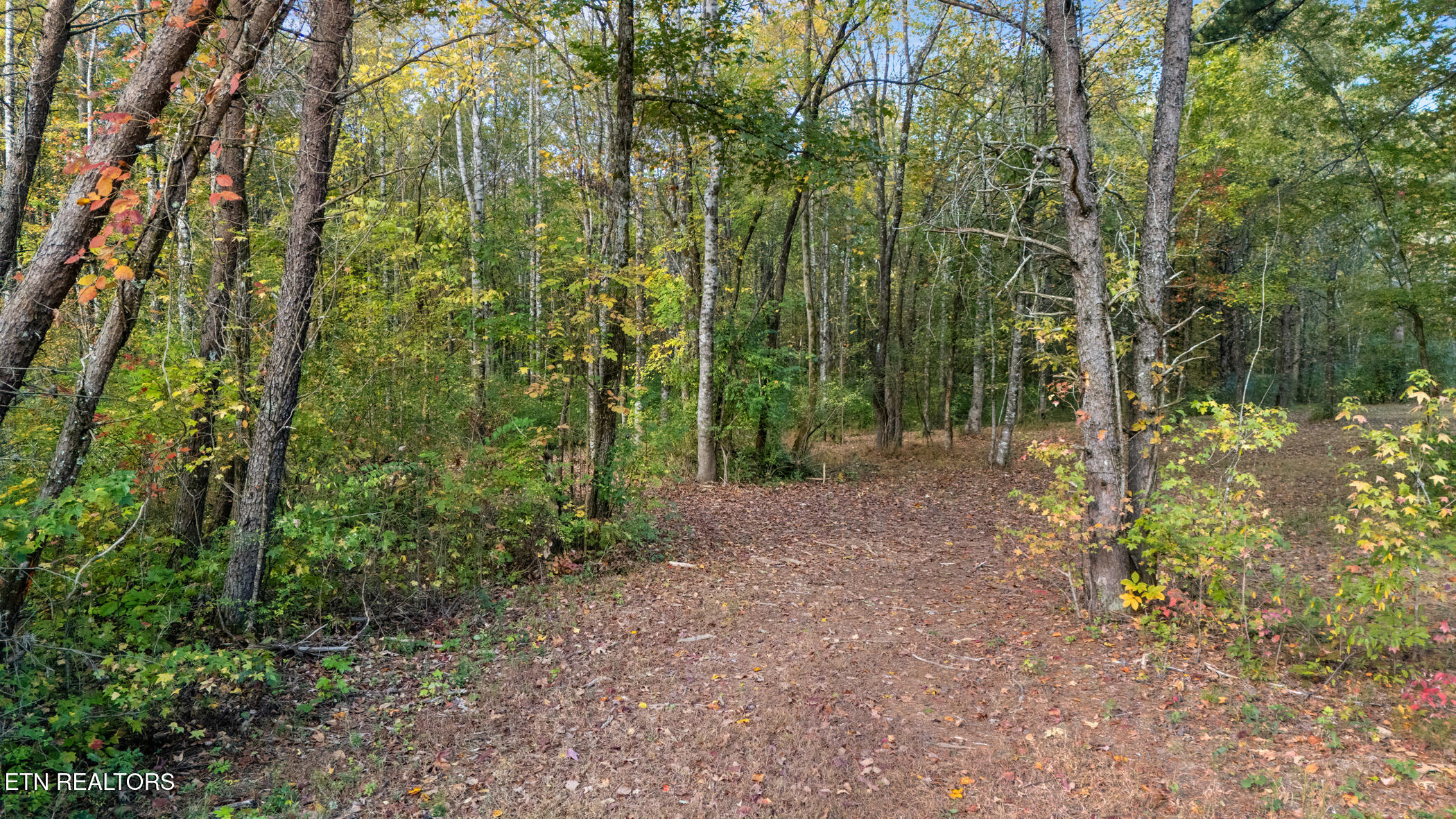 209 Ridge Road Maryville, TN 37803 - Photo 4 of 15 209 Ridge Rd