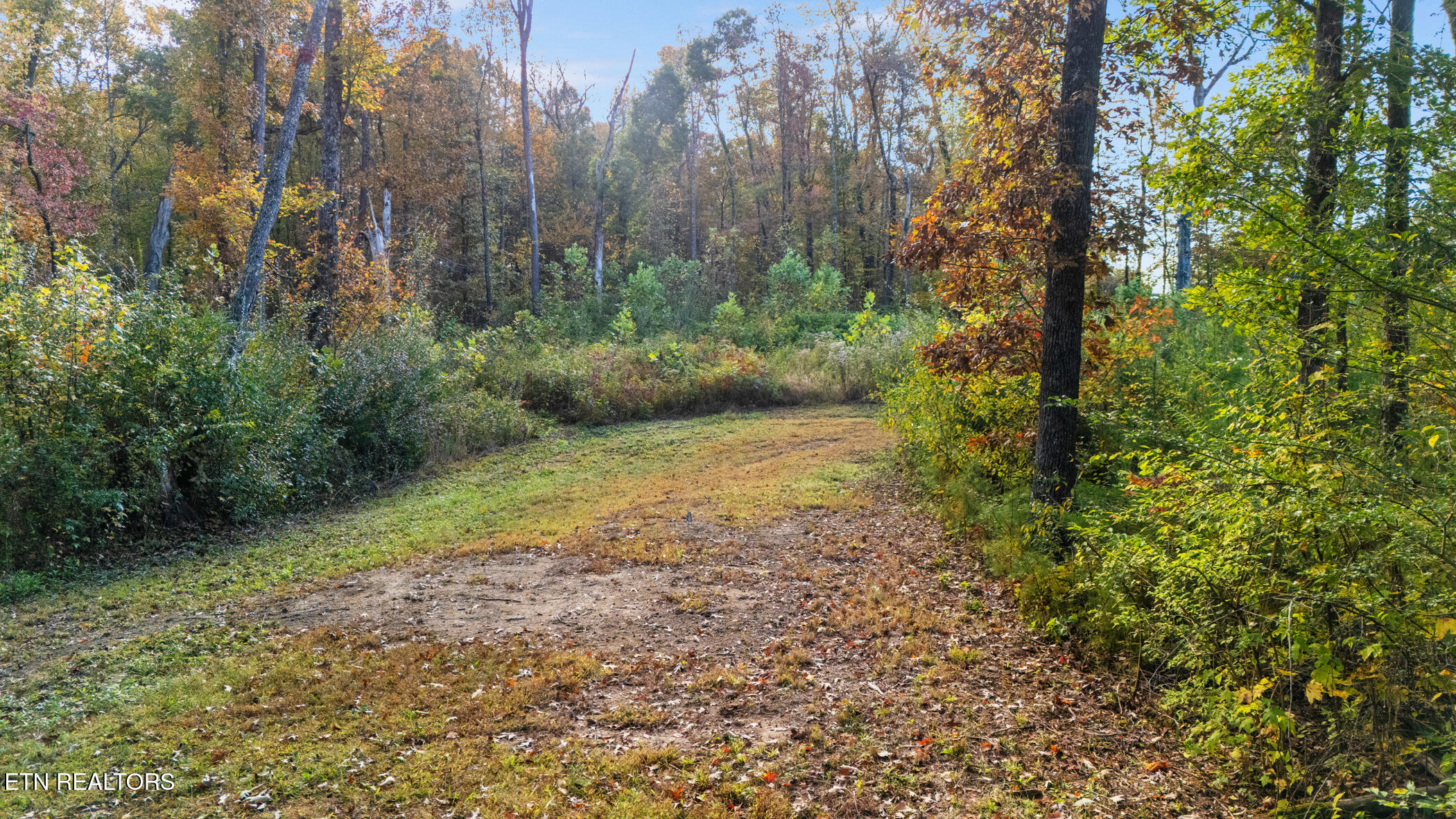 209 Ridge Road Maryville, TN 37803 - Photo 9 of 15 Over 25 Acres of Beautiful Land!