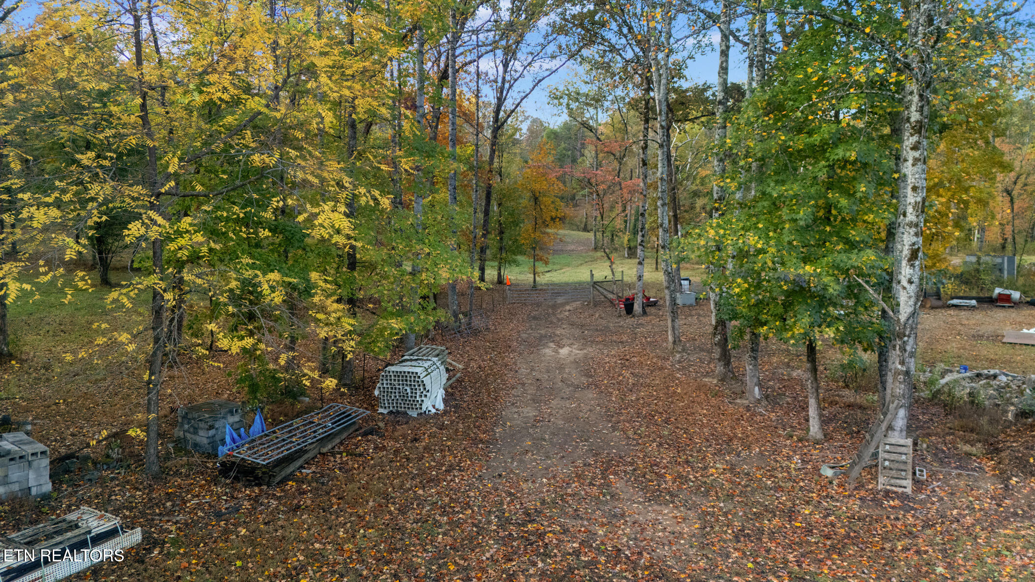 209 Ridge Road Maryville, TN 37803 - Photo 10 of 15 Over 25 Acres of Beautiful Land!