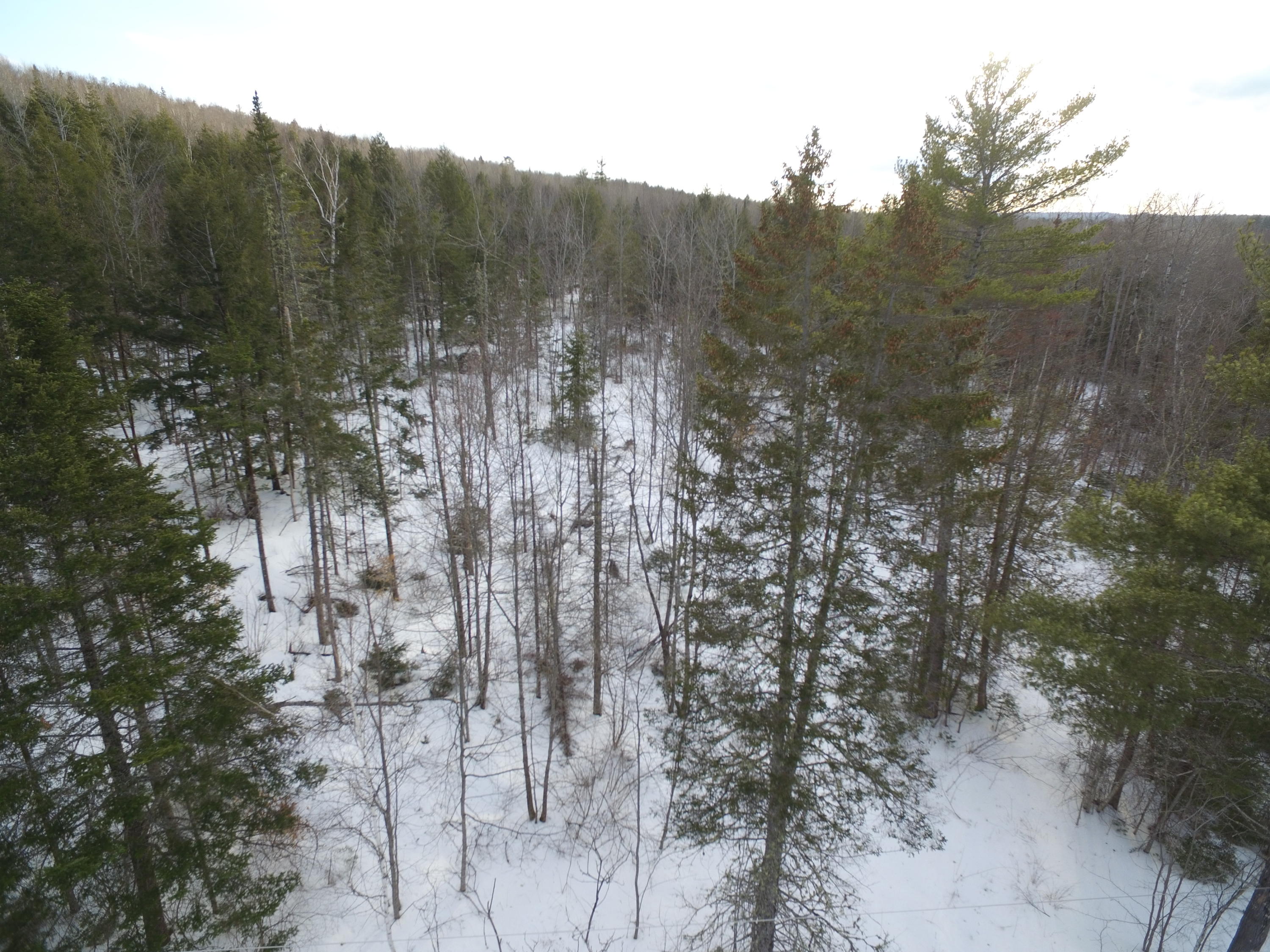 95 Map Lane Lincoln, ME 04457 - Photo 6 of 9 DJI_0022