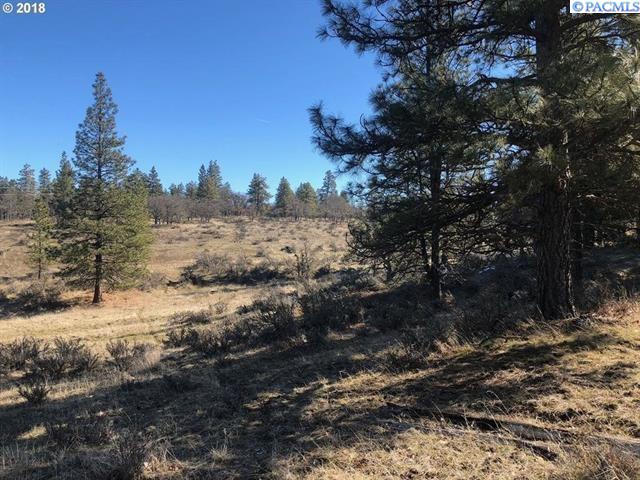 Chambers Road Goldendale, WA 98620 - Photo 2 of 5 Gallery Image 2