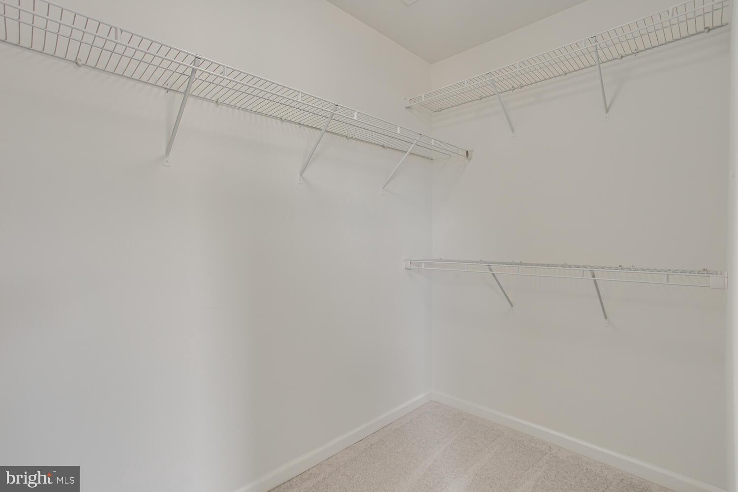2279 River Birch Road Dumfries, VA 22026 - Photo 18 of 37 Primary walk-in Closets 2 of 2