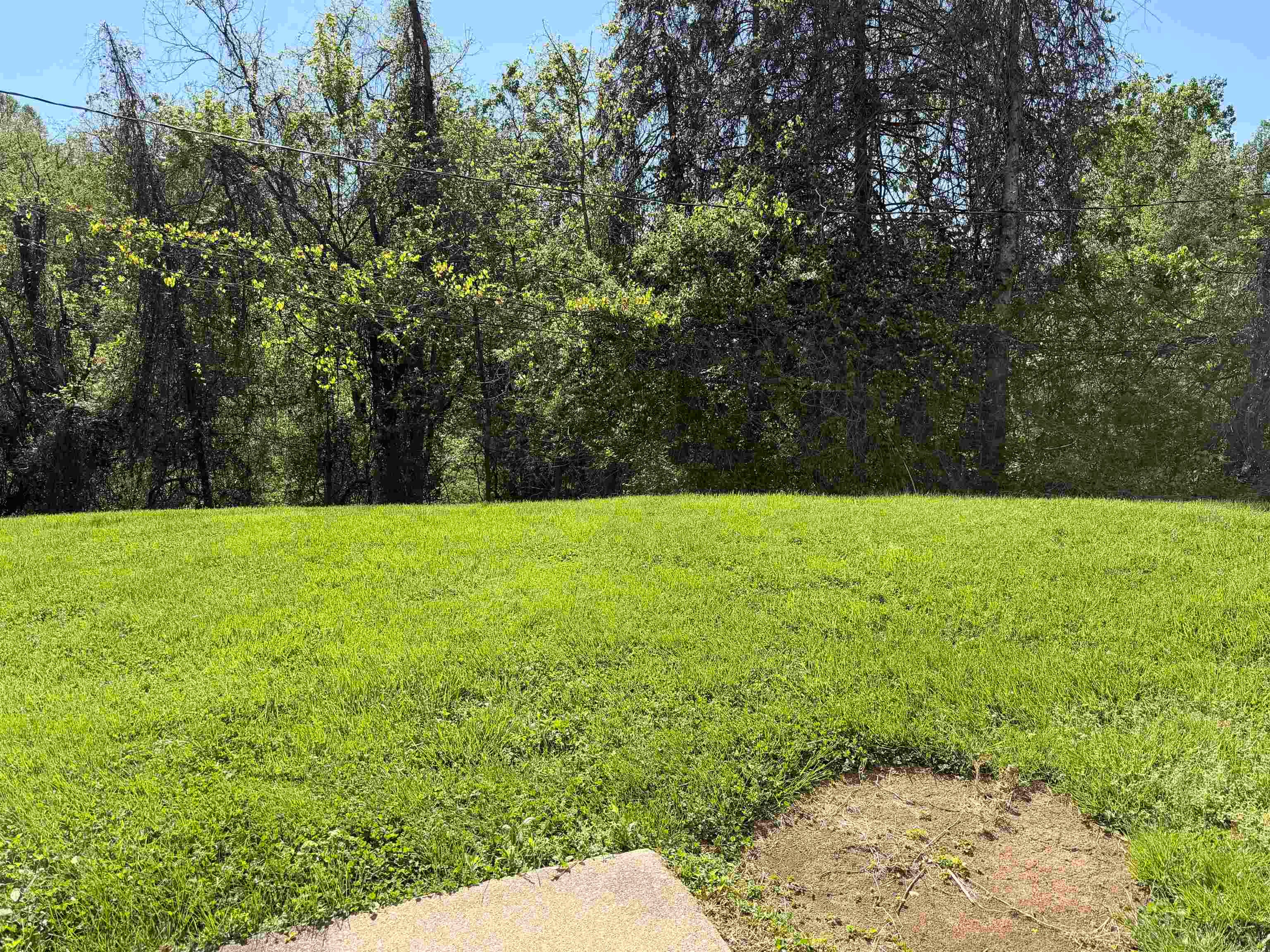 116-118 Darnell Road Huntington, WV 25705 - Photo 12 of 32 Gallery Image 12