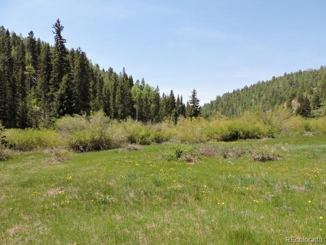 6681 Batenburg Road Fort Garland, CO 81133 - Photo 1 of 18 Gallery Image 1