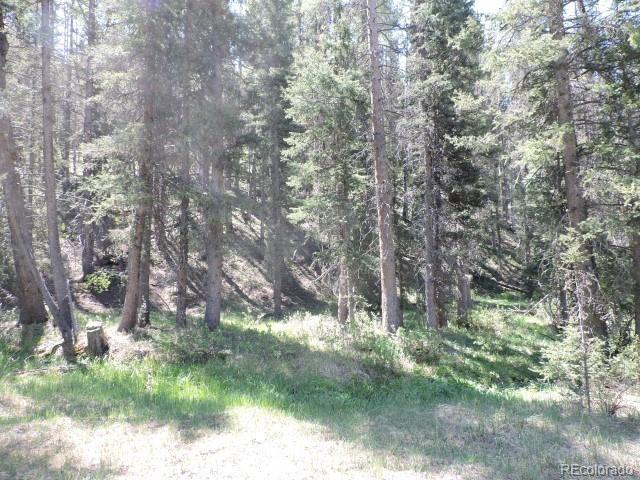 6681 Batenburg Road Fort Garland, CO 81133 - Photo 12 of 18 Gallery Image 12