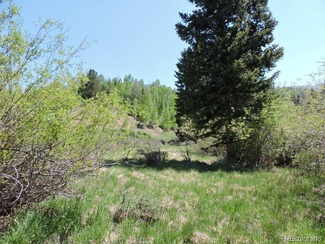 6681 Batenburg Road Fort Garland, CO 81133 - Photo 13 of 18 Gallery Image 13