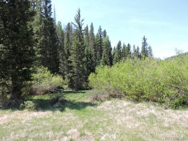 6681 Batenburg Road Fort Garland, CO 81133 - Photo 16 of 18 Gallery Image 16