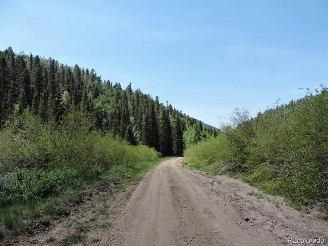 6681 Batenburg Road Fort Garland, CO 81133 - Photo 17 of 18 Gallery Image 17