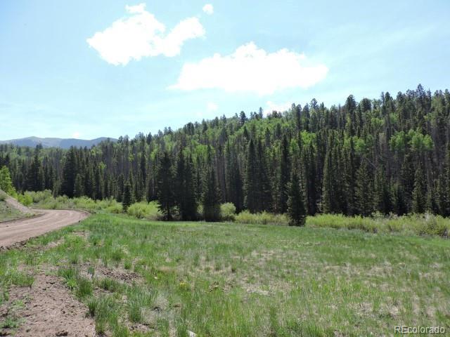 6681 Batenburg Road Fort Garland, CO 81133 - Photo 4 of 18 Gallery Image 4