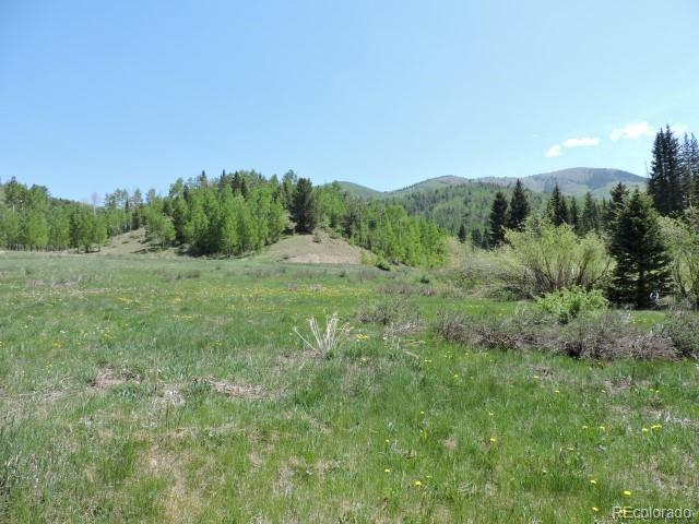 6681 Batenburg Road Fort Garland, CO 81133 - Photo 6 of 18 Gallery Image 6