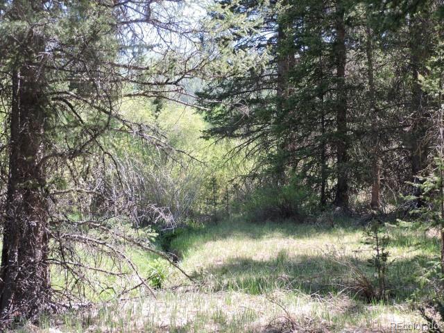 6681 Batenburg Road Fort Garland, CO 81133 - Photo 9 of 18 Gallery Image 9