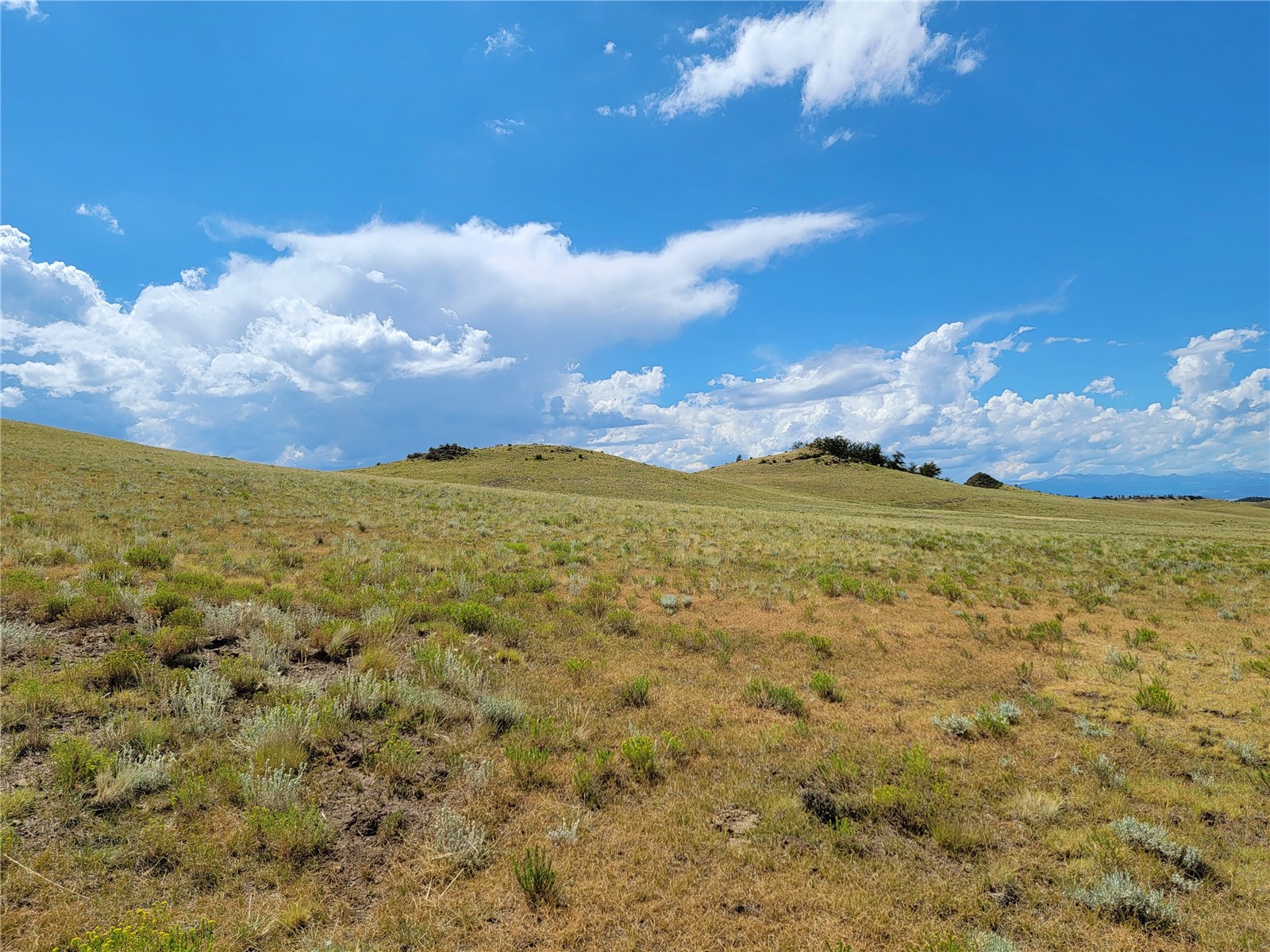 3999 Delaware Road Hartsel, CO 80449 - Photo 20 of 23 Gallery Image 20