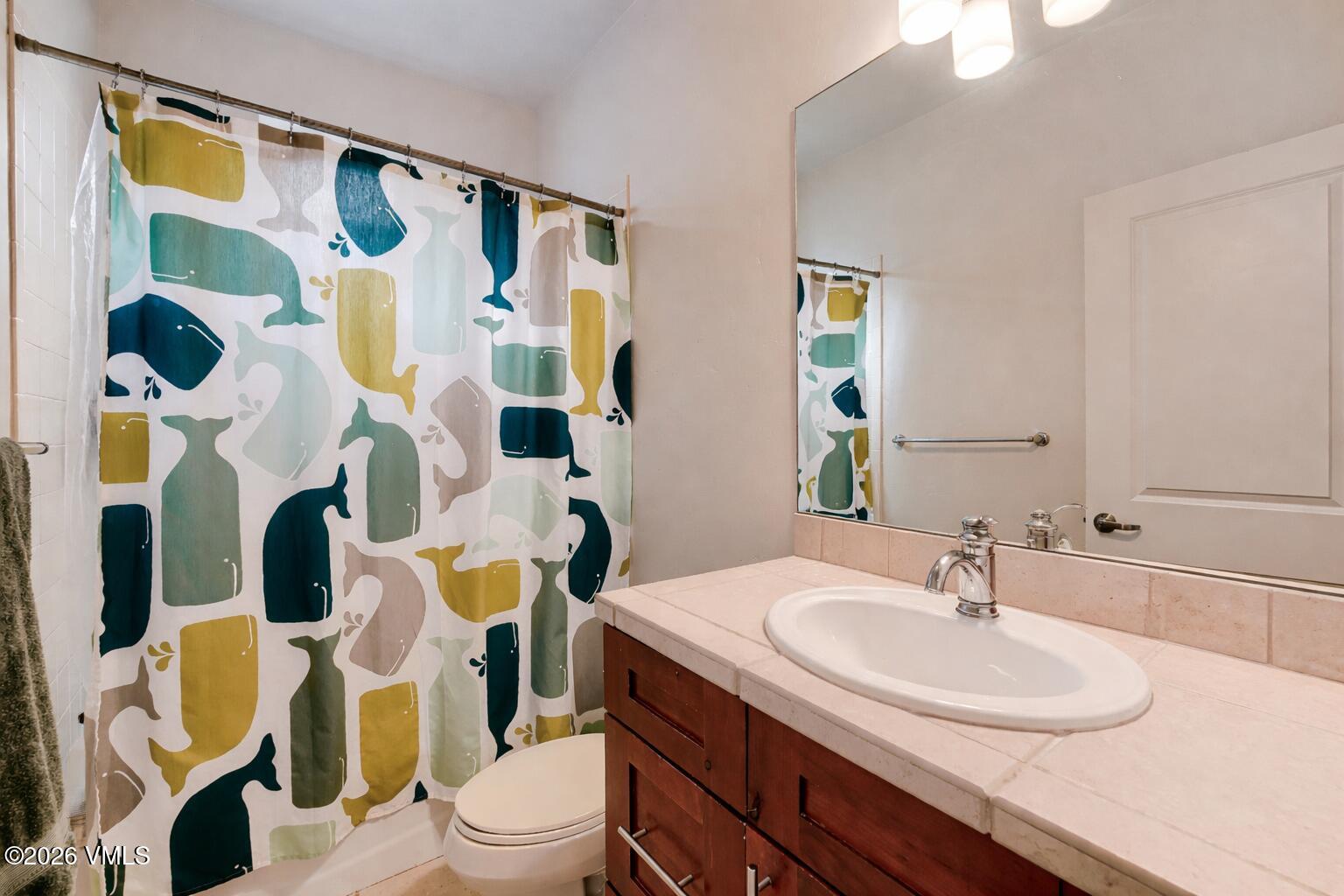 835 Sylvan Lake Road Eagle, CO 81631 - Photo 25 of 27 Bathroom