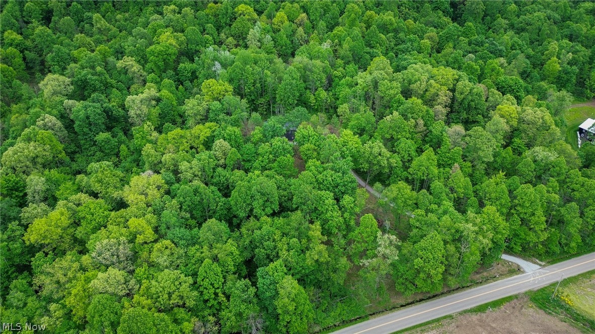 5309 Cherry Run Road Northwest Strasburg, OH 44680 - Photo 43 of 49