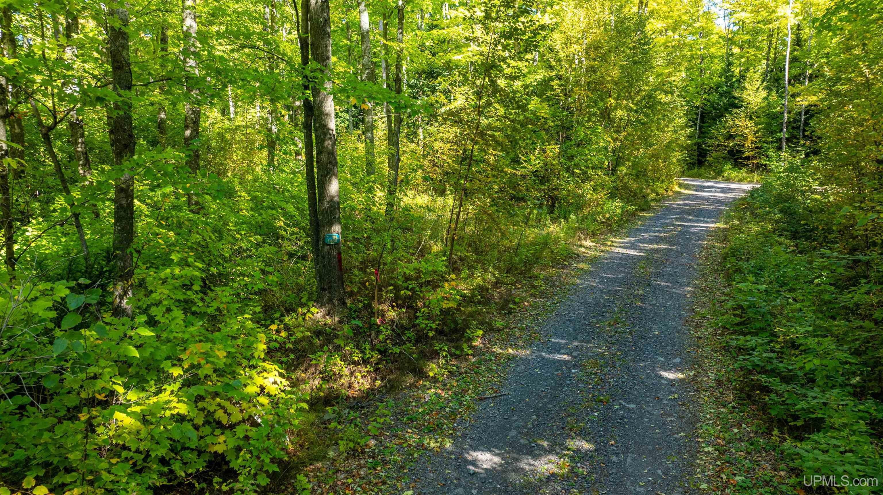 9 Redridge Creek Road Atlantic Mine, MI 49905 - Photo 17 of 27