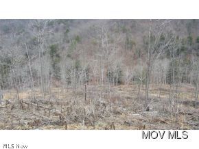 0 C Road Harrisville, WV 26362 - Photo 10 of 10