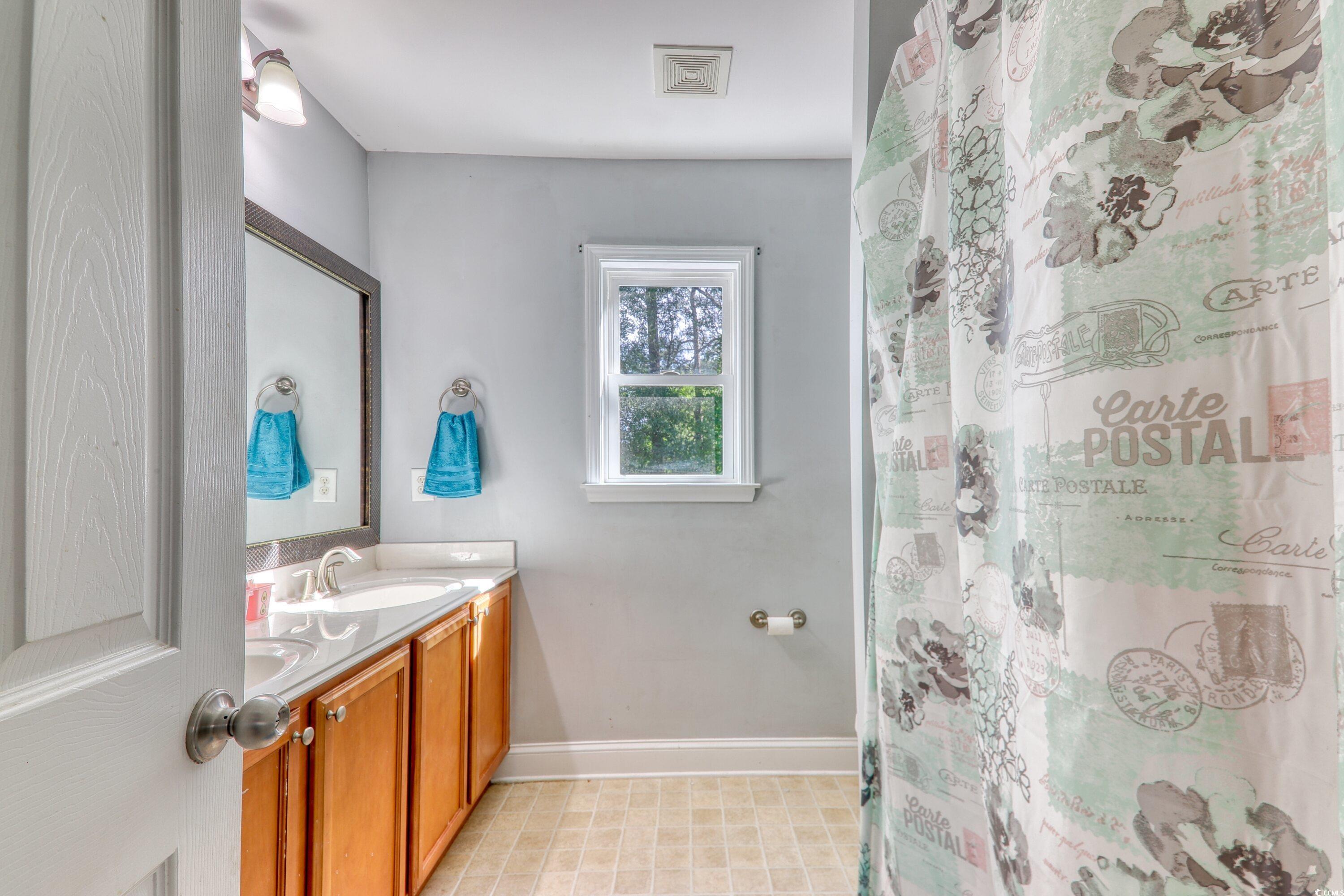 190 Hamilton Way Conway, SC 29526 - Photo 12 of 35 Full bath with baseboards, visible vents, a sink,