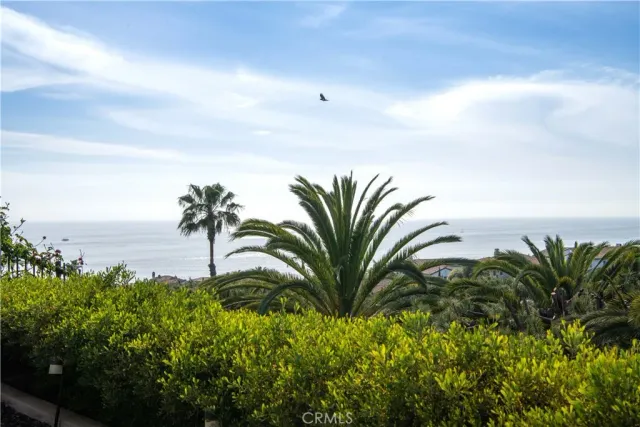 $45,000 | 6 Surfspray Bluff, Newport Coast, CA 92657