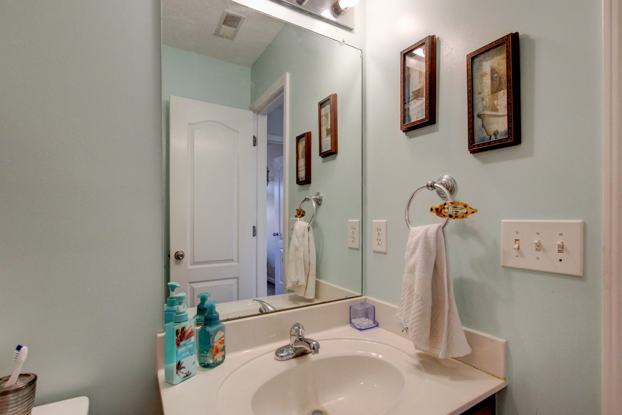 244 Cheshire Road Clarksville, TN 37043 - Photo 69 of 84 a bathroom with a sink and a mirror