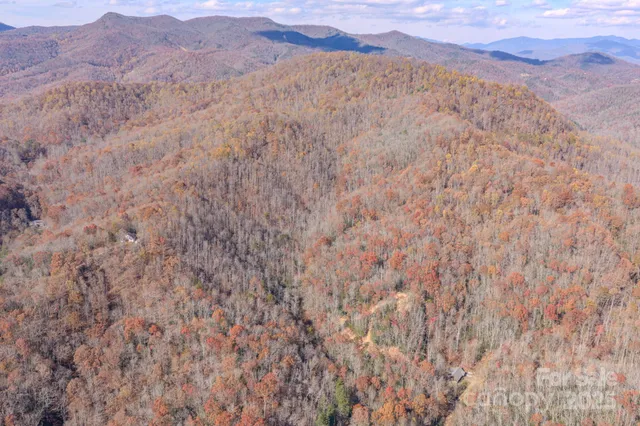 a view of a lush green hillside and a mountain