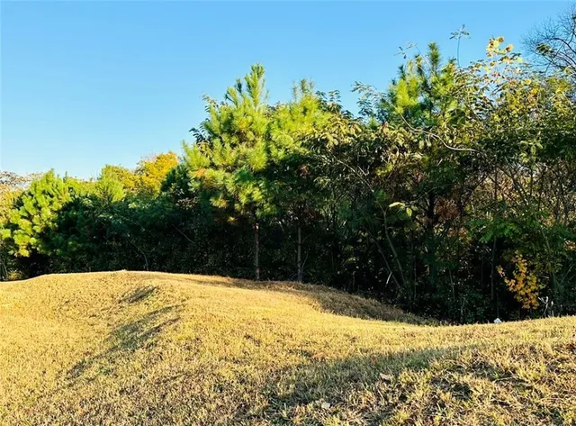 a swimming pool with trees in the background