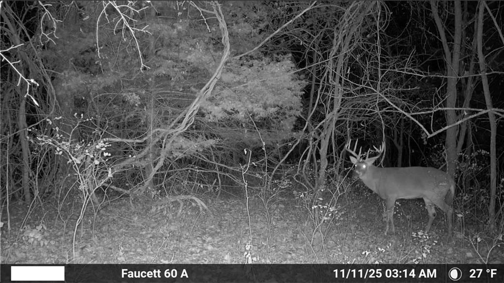 Sparta Road Faucett, MO 64448 - Photo 11 of 30