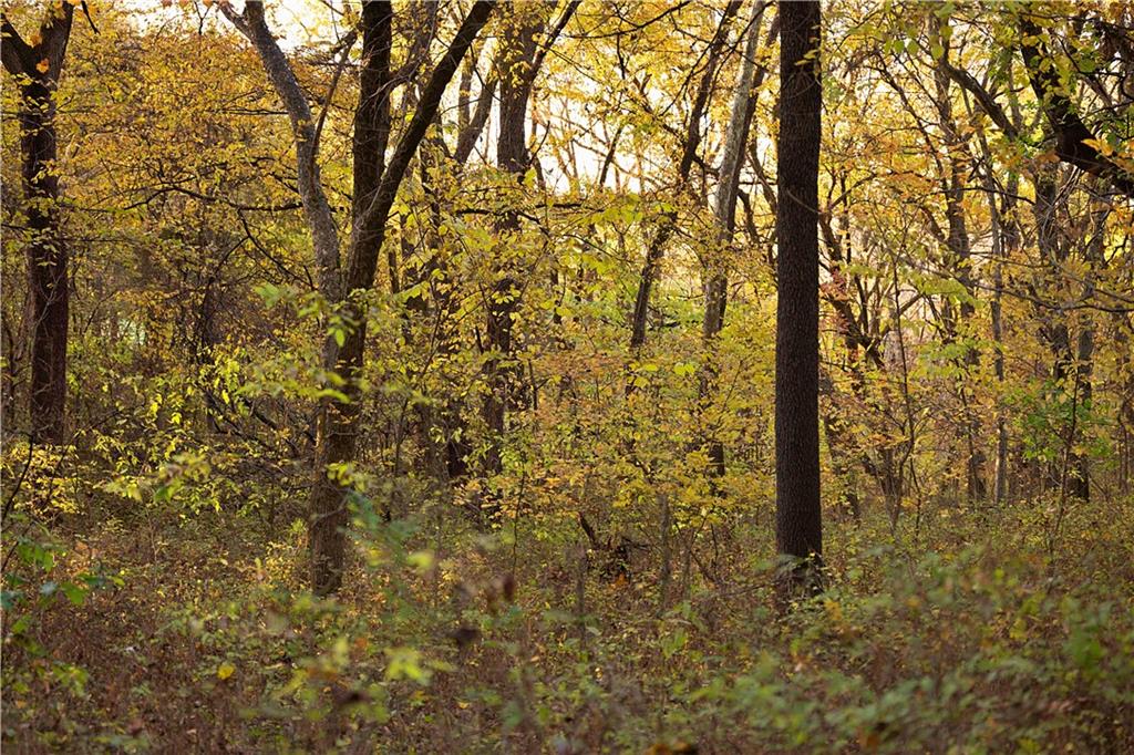 Sparta Road Faucett, MO 64448 - Photo 13 of 30