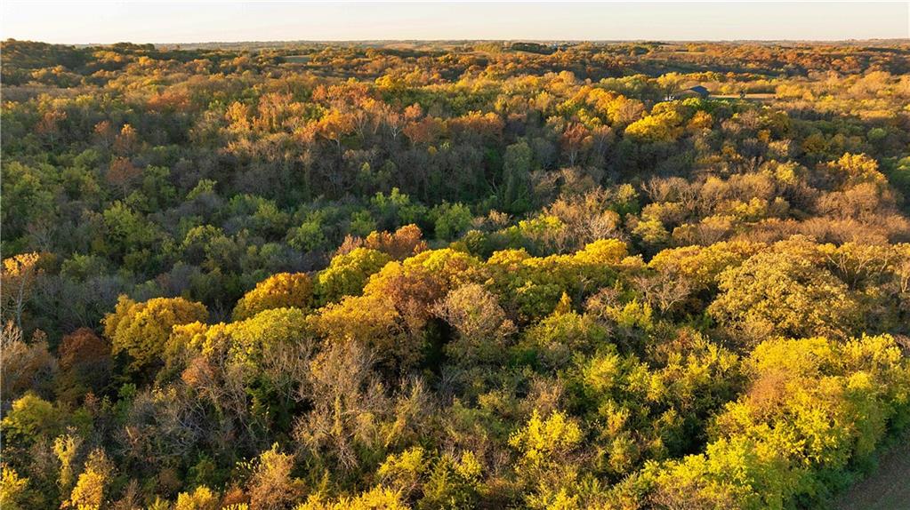 Sparta Road Faucett, MO 64448 - Photo 16 of 30