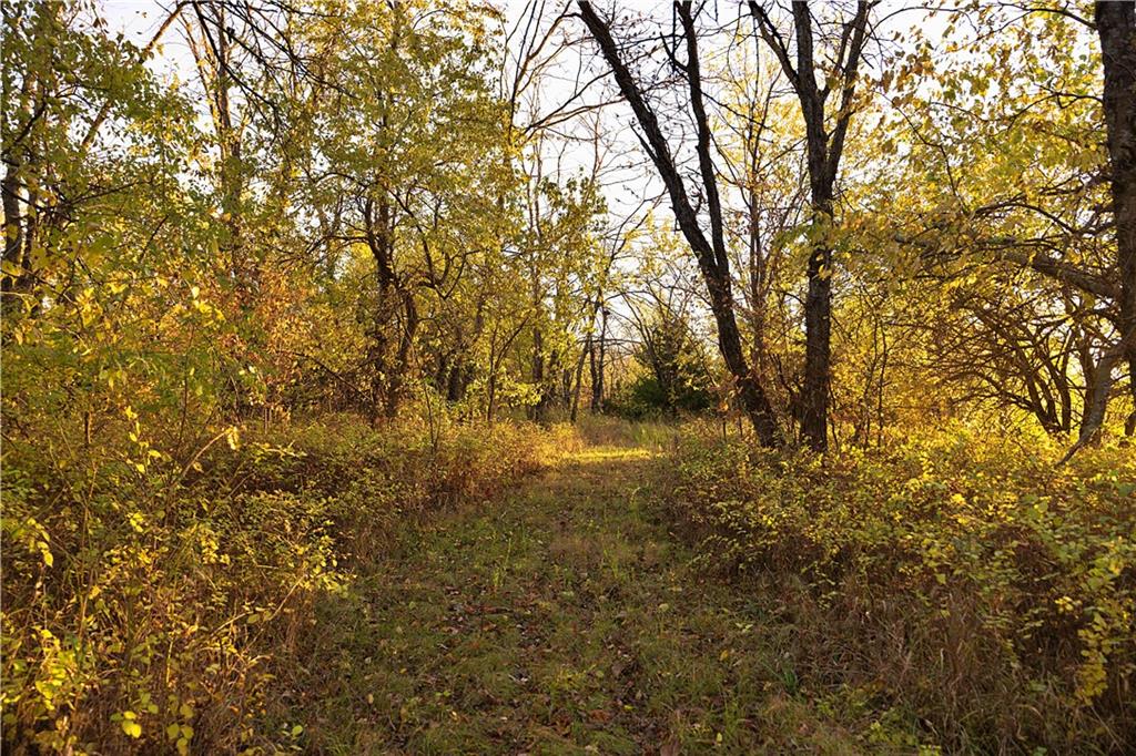 Sparta Road Faucett, MO 64448 - Photo 18 of 30