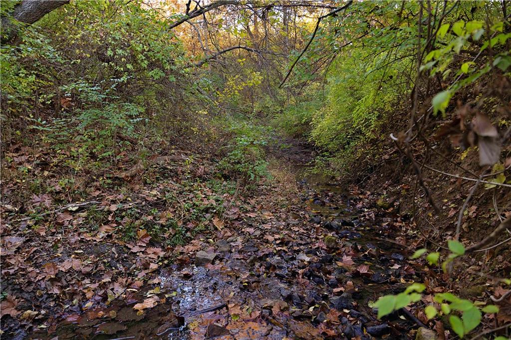 Sparta Road Faucett, MO 64448 - Photo 21 of 30